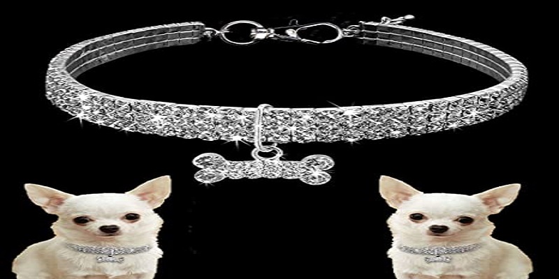 Jewelry For Dogs: A Quick Guide